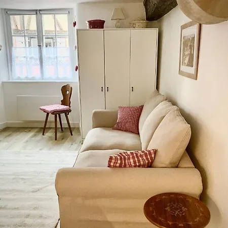 Ferienwohnung Le Cocon Petite France Straßburg Exterior foto